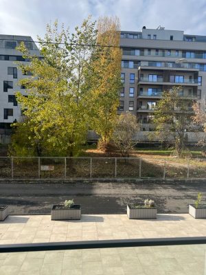 Harmony Apartment Herastrau For Rent - imagine 45